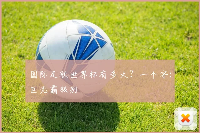 国际足联世界杯有多大？一个字：巨无霸级别